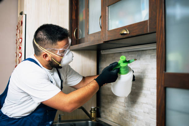  Shenandoah, TX Pest Control Pros