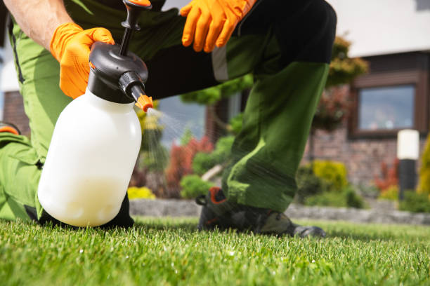 Reliable Shenandoah, TX Pest Control Solutions