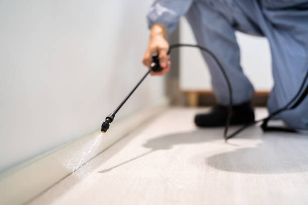 Professional Pest Control in Shenandoah, TX