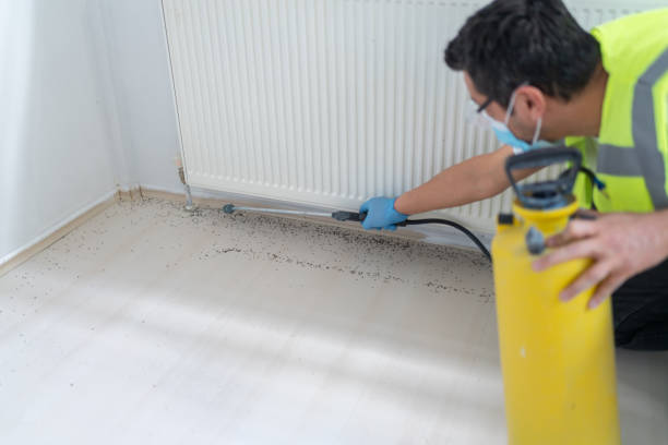 Best Best Pest Control Companies  in Shenandoah, TX
